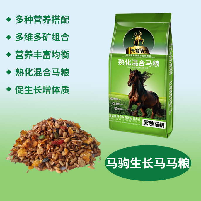 馬駒生長(cháng)馬馬糧